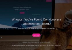 404 Page Optimization Tips: 7 Site Conversion Rate Optimization Ideas for Your Errors Page