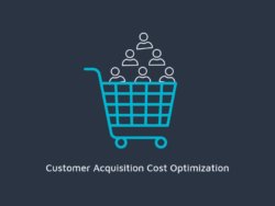 Customer Acquisition Cost Optimization
