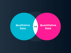 Marketer’s Guide: Key Differences Between Qualitative Data And Quantitative Data